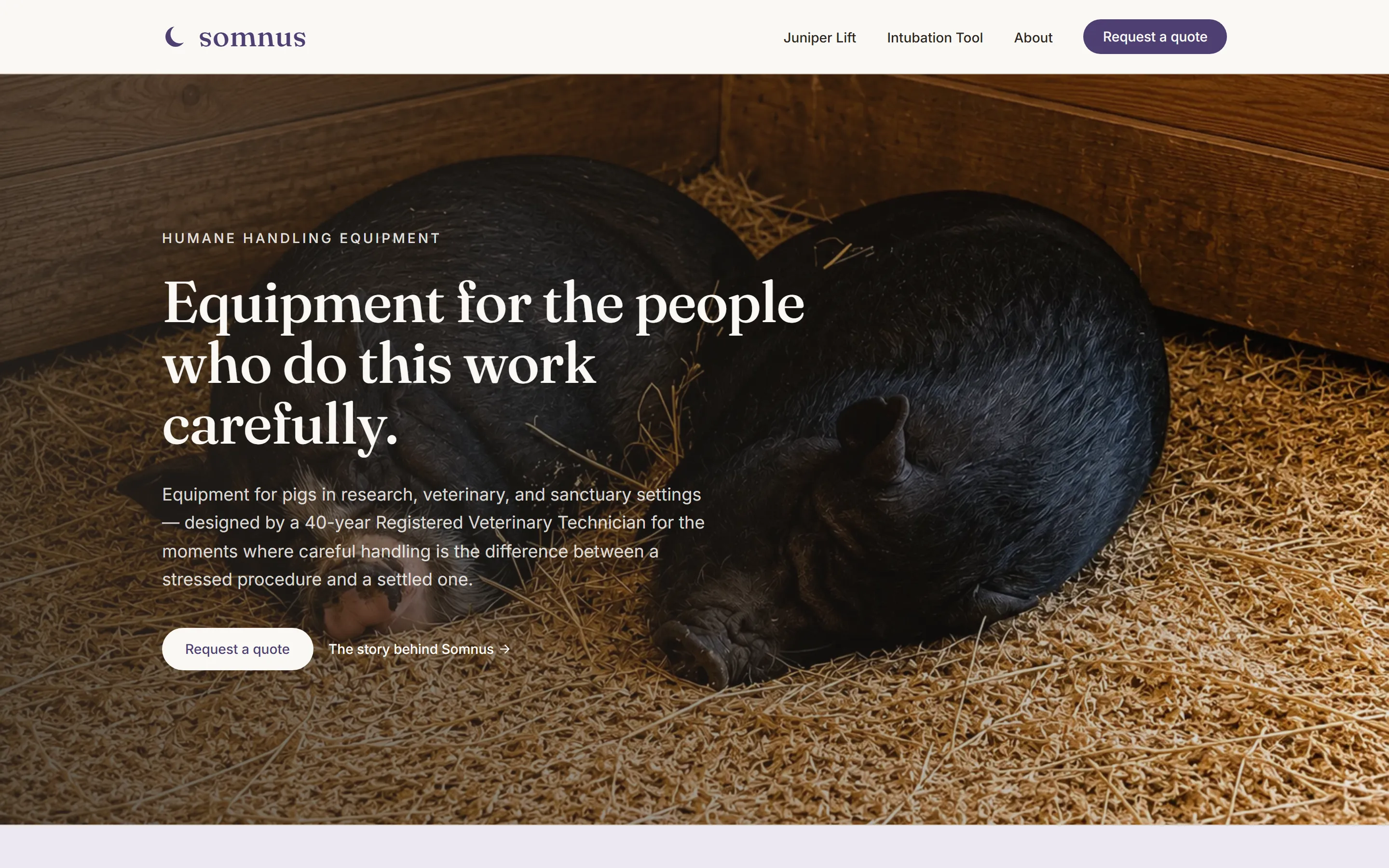 Homepage of the Somnus, LLC website
